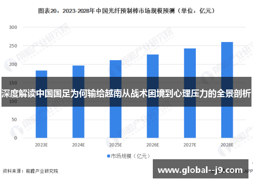 深度解读中国国足为何输给越南从战术困境到心理压力的全景剖析