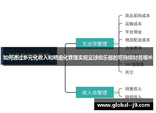 如何通过多元化收入和精细化管理实现足球俱乐部的可持续财务增长