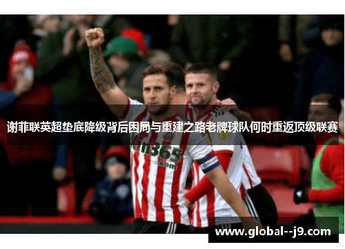谢菲联英超垫底降级背后困局与重建之路老牌球队何时重返顶级联赛