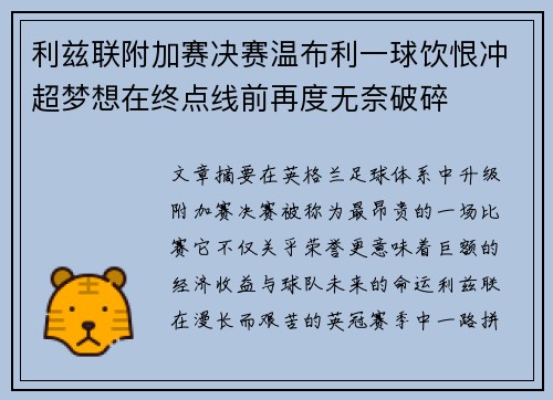 利兹联附加赛决赛温布利一球饮恨冲超梦想在终点线前再度无奈破碎